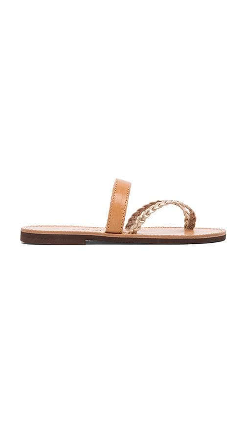 Arocaria Sandal