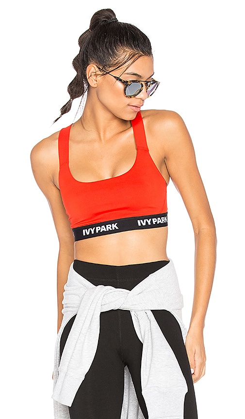 ivy park bra top