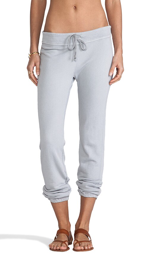 James perse genie sweatpants on sale