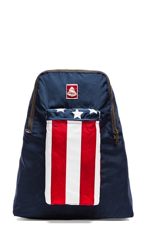 stars and stripes backpack