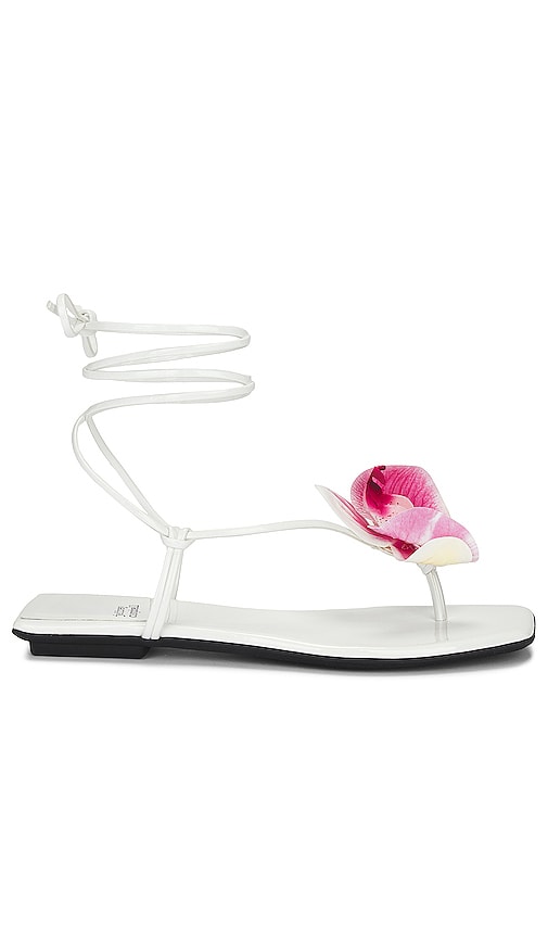 jeffrey campbell white sandals