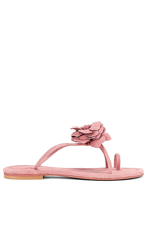 Jeffrey Campbell Tropico Sandal in Light Pink Suede