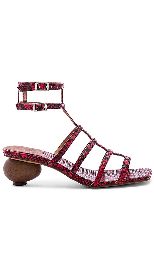 Oak Sandal