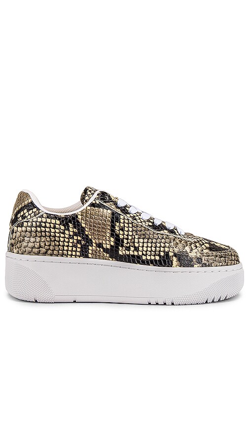 jeffrey campbell court sneaker