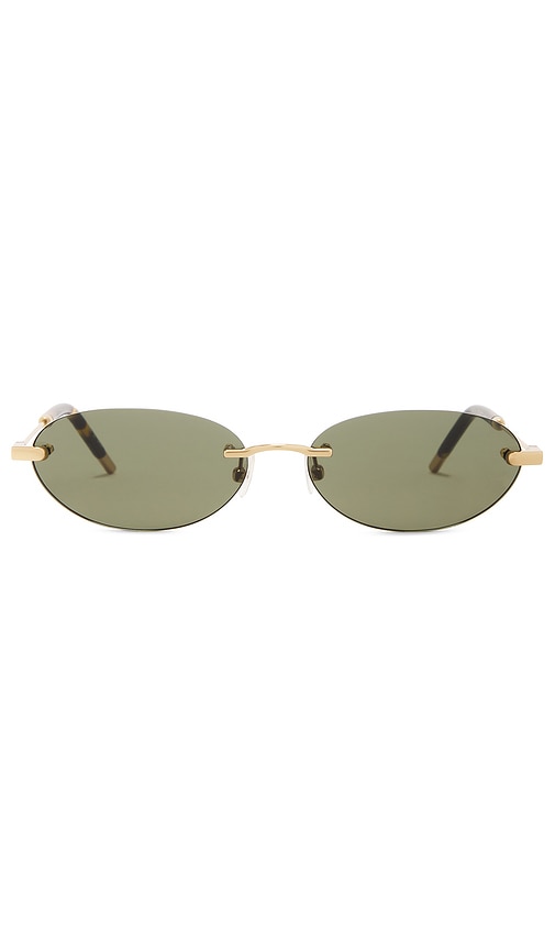 Shop Jenny Bird The Oval In Gold & Tortoiseshell