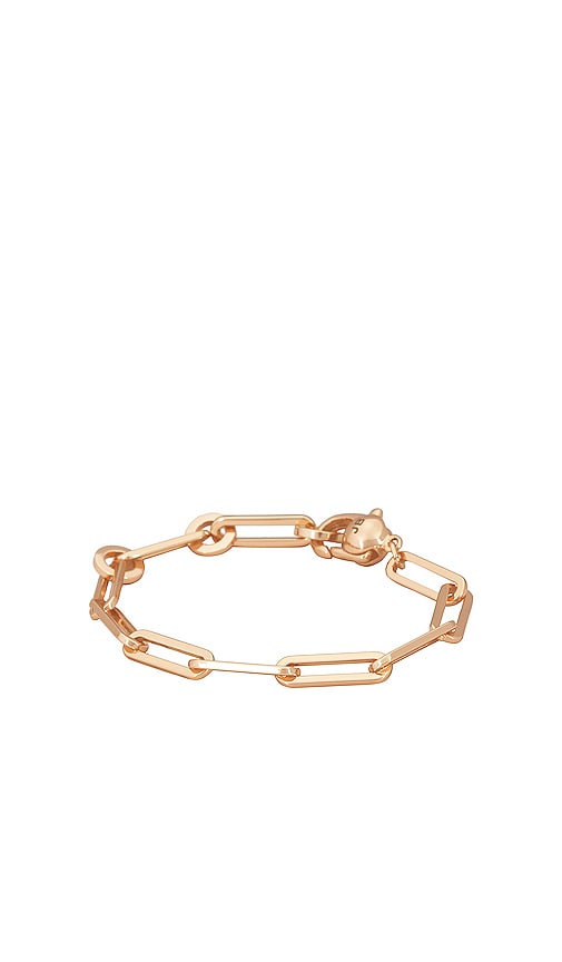 Jenny Bird Chain Link Bracelet In Metallic Gold