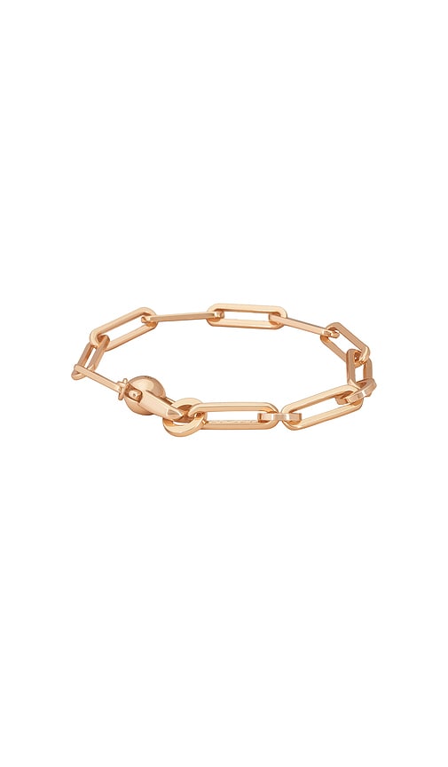 Shop Jenny Bird Andi Slim Bracelet In Metallic Gold