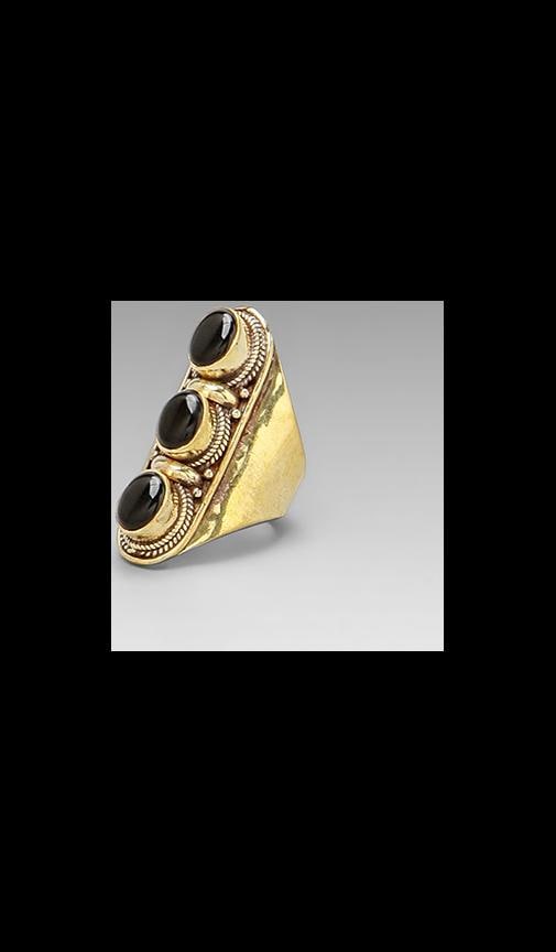 Vanessa Mooney The Conquered Ring