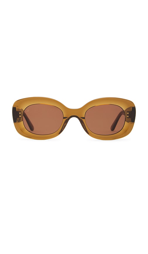 Jimmy Fairly The Cinnamon Sunglasses In 브라운