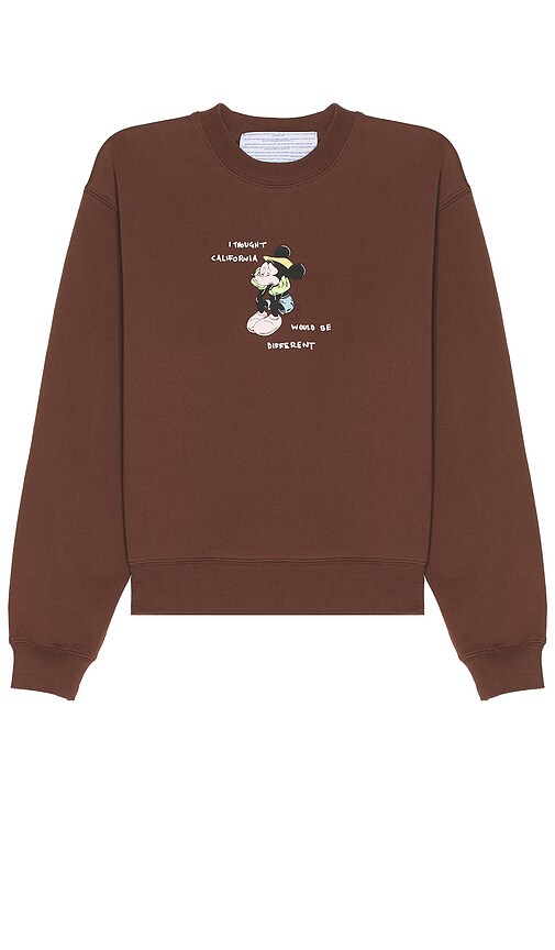 Jungles California Mick Sweater in Brown