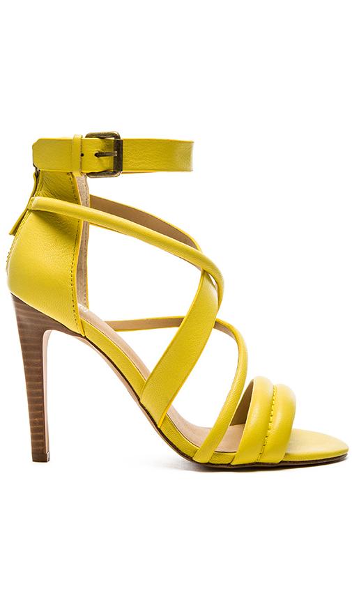 Robbie Heel