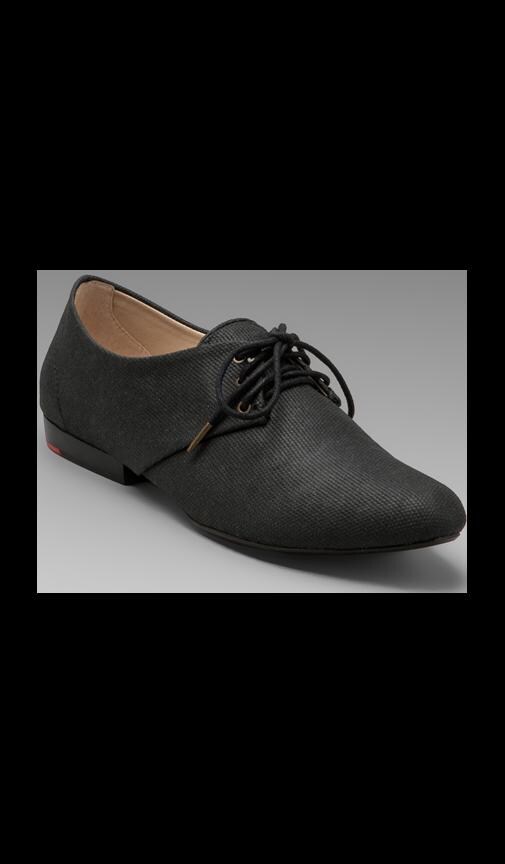 Lavender Oxford