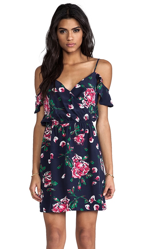 Sari Rose Print Dress