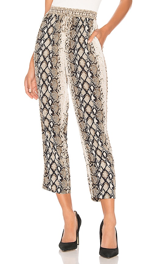Ceylon B Pant