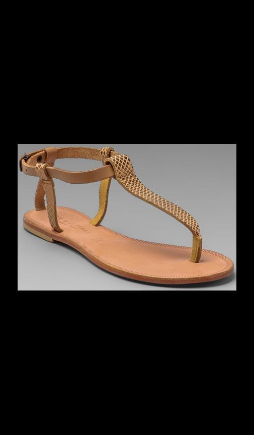 a La Plage Shoal T Strap Sandal