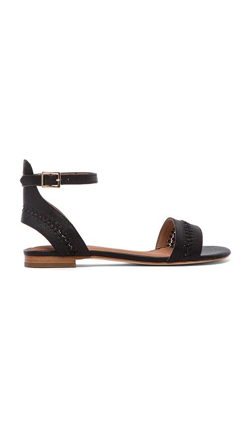Lorenzo Sandal