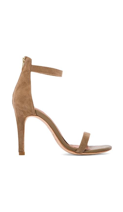 Abbott Heel