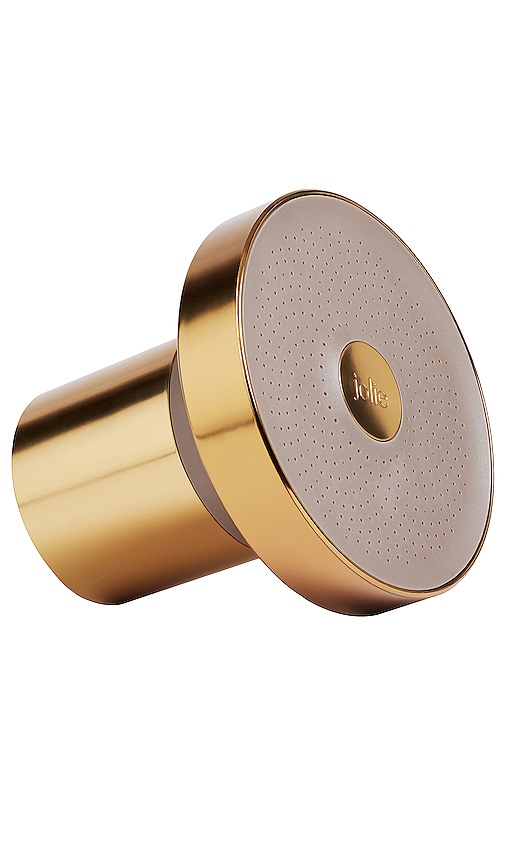 Filtered Showerhead in Brushed Gold