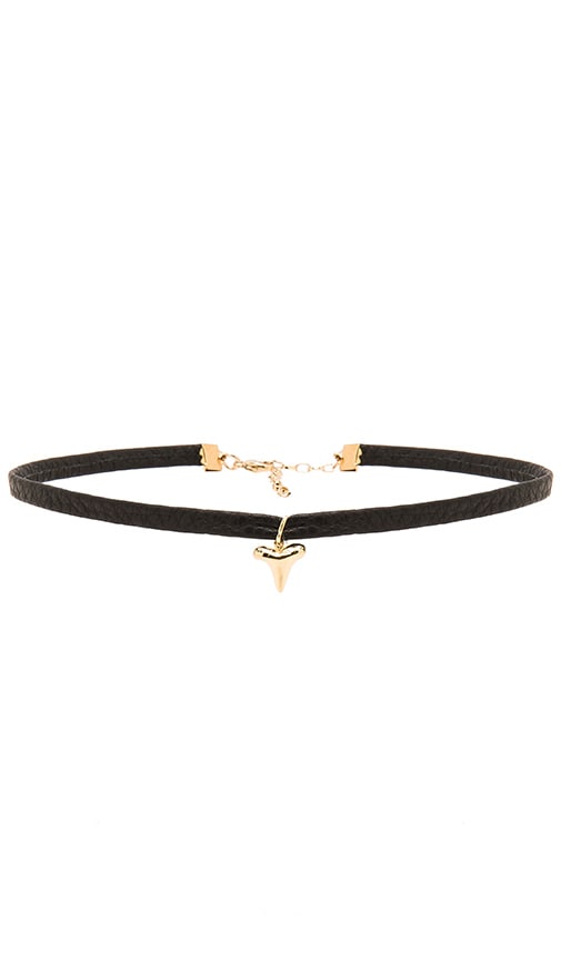 Shark Tooth Choker