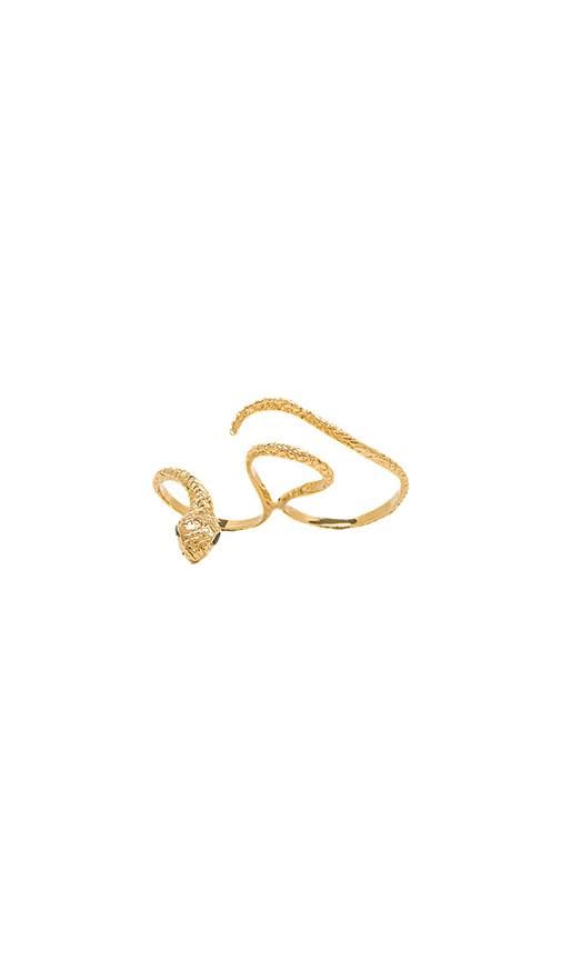 Snake Knuckle Ring