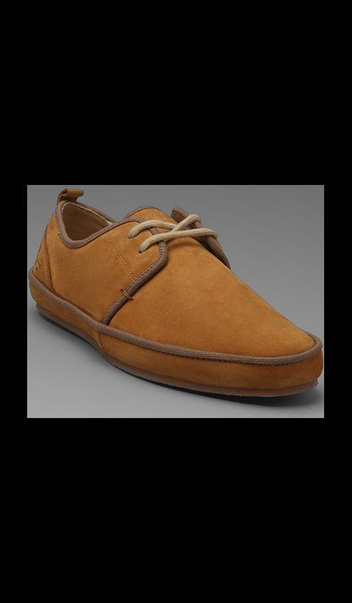 Hastings Shoes