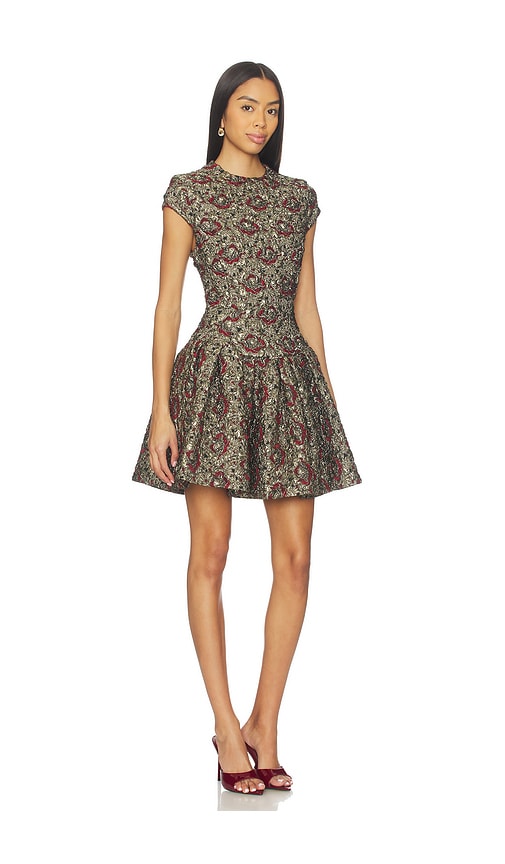 Simkhai Womens Ruby Multi Elowen Cap-sleeves Stretch-woven Mini Dress In Brown