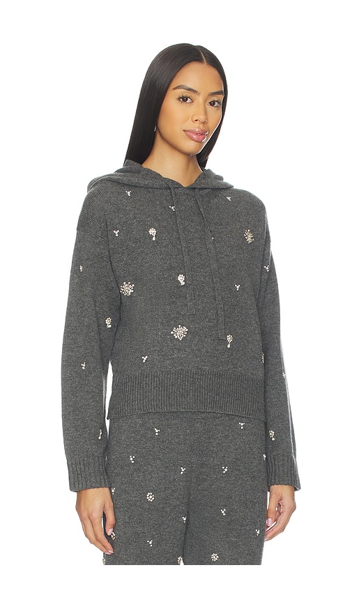 Simkhai Karmen Embellished Hooded Top In Gray
