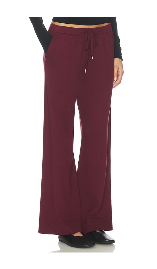 Simkhai Travel Pant In Burgundy