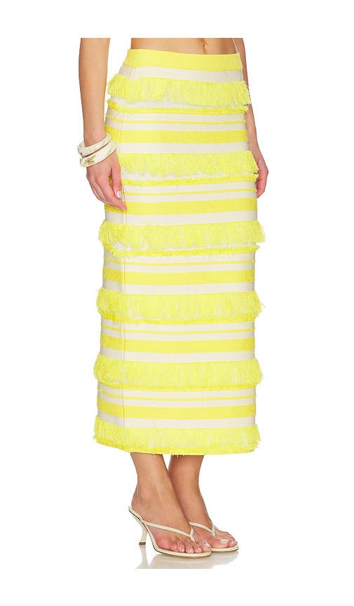 Simkhai Lula Knit Midi Skirt In Multi