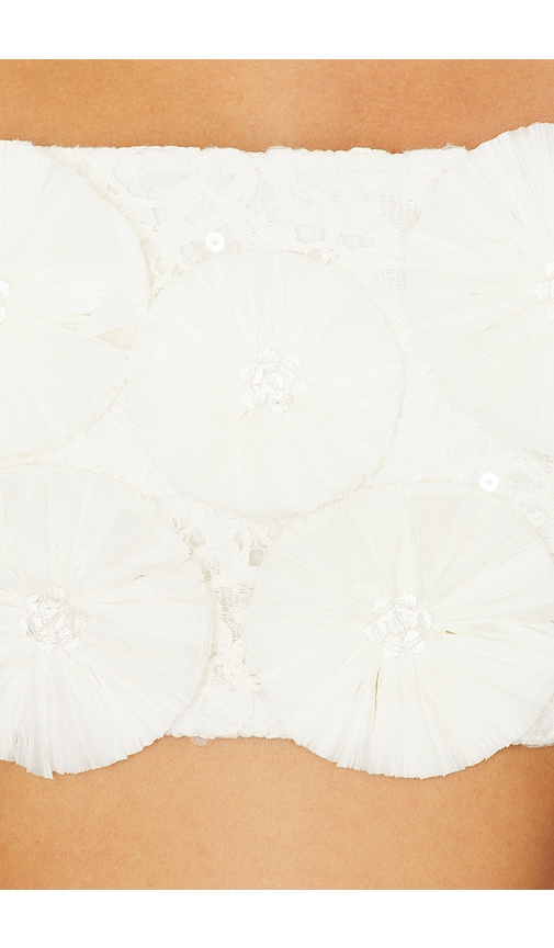 SIMKHAI Delia Floral Raffia Bra Top | Thumbnail 5 SIMKHAI Delia Floral Raffia Bra Top | Thumbnail 5