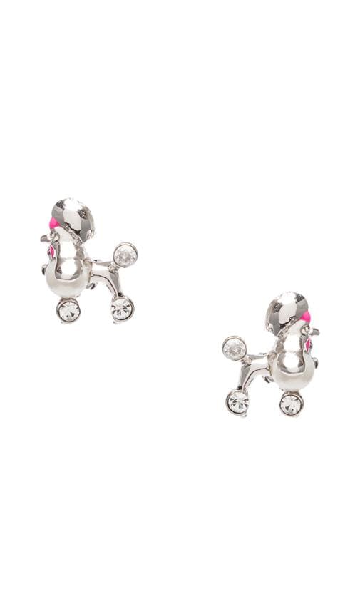 Poodle Studs