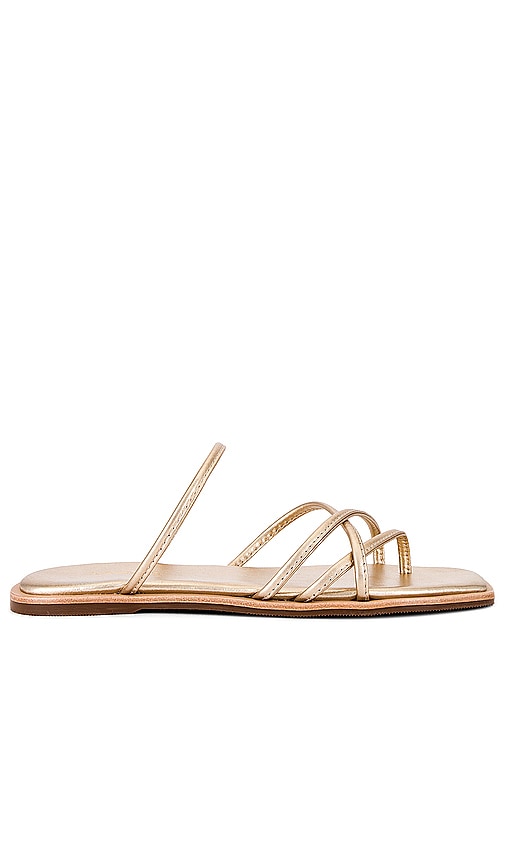 Kaanas Kapok Square-toe Strappy Slide In 金色