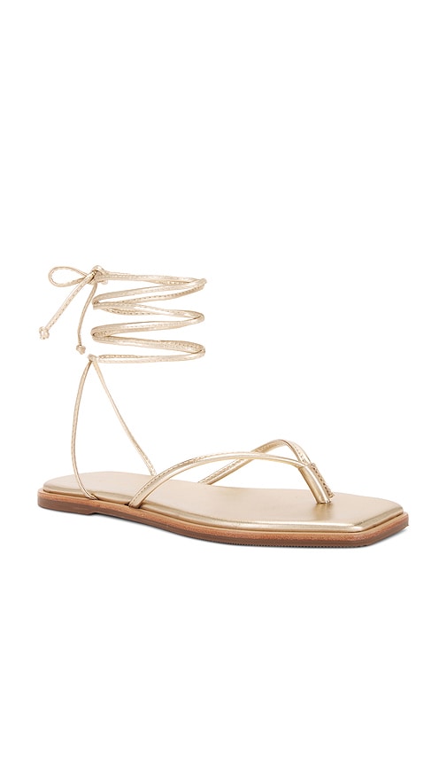 Shop Kaanas Samoa Sandal In 金色