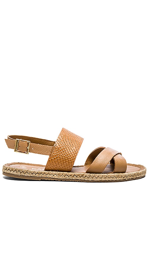 Kaanas Cayman Sandal in Honey | REVOLVE