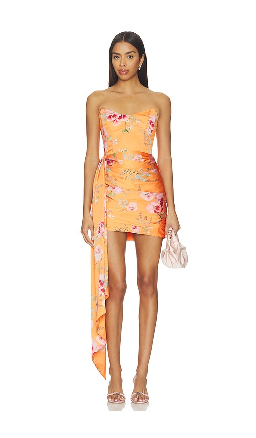 Chasing Dawn Dress