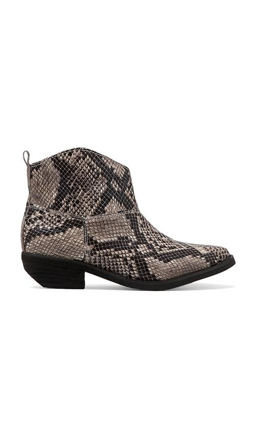 Danice Boot