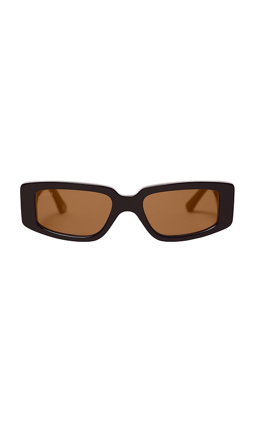Concept 2 Sunglasses in Chocolate.