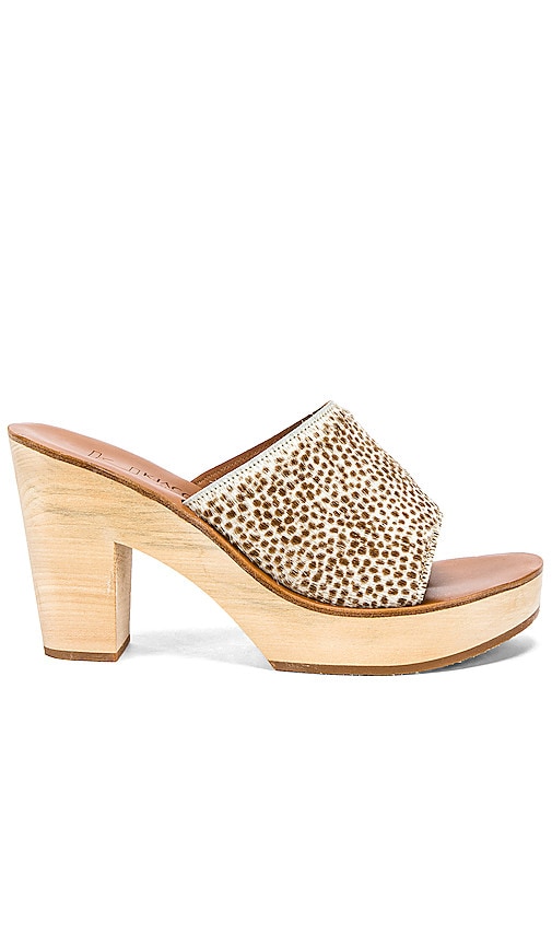 Ficus Sandal