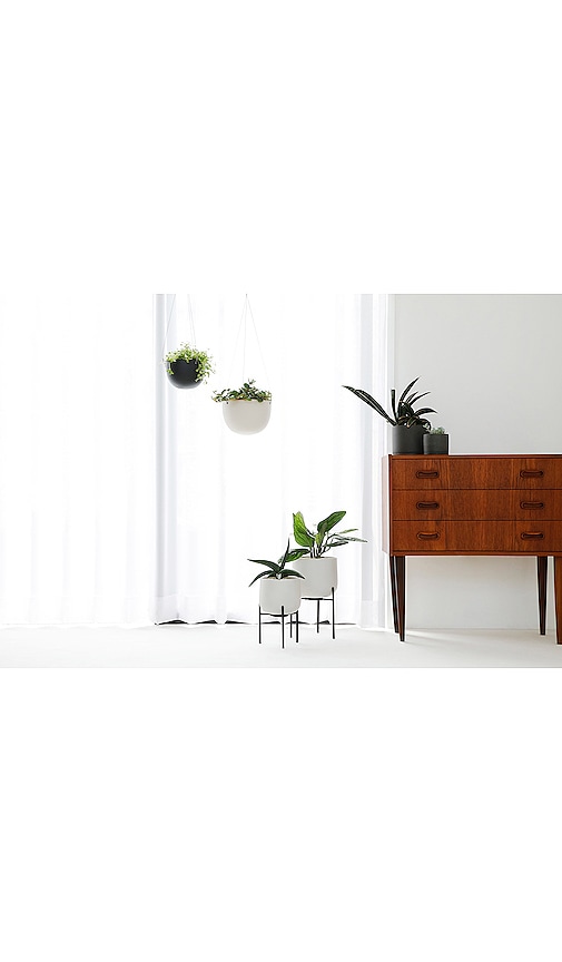  Kinto 5in Ceramic Plant Pot 211 In Cream. 