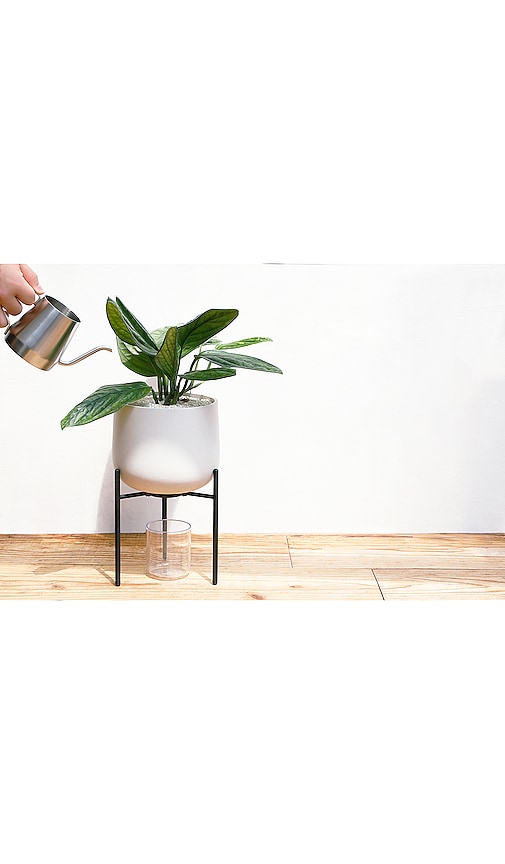  Kinto 6in Ceramic Plant Pot 211 In Cream. 