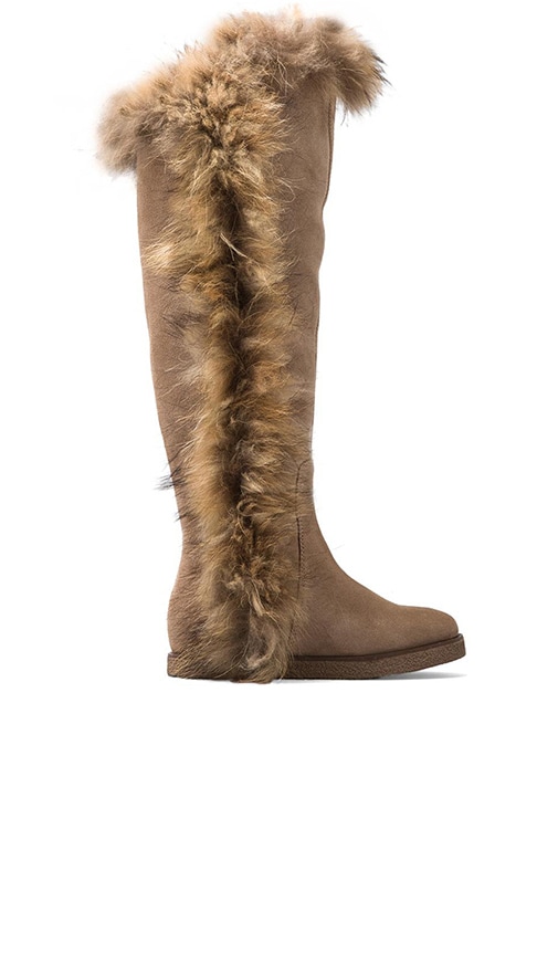 Sasha II with Fox Fur