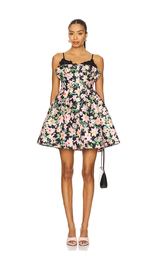 Odile Dress in Black. - size 8 (also in 0, 10, 2, 4, 6)