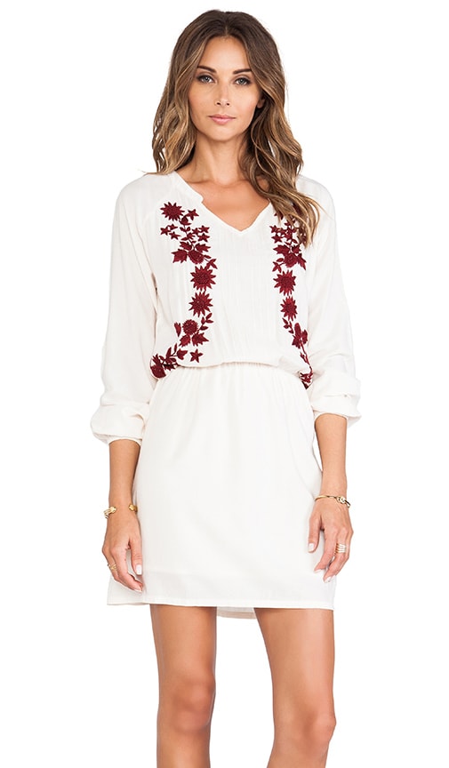 Embroidered Drop Waist Dress