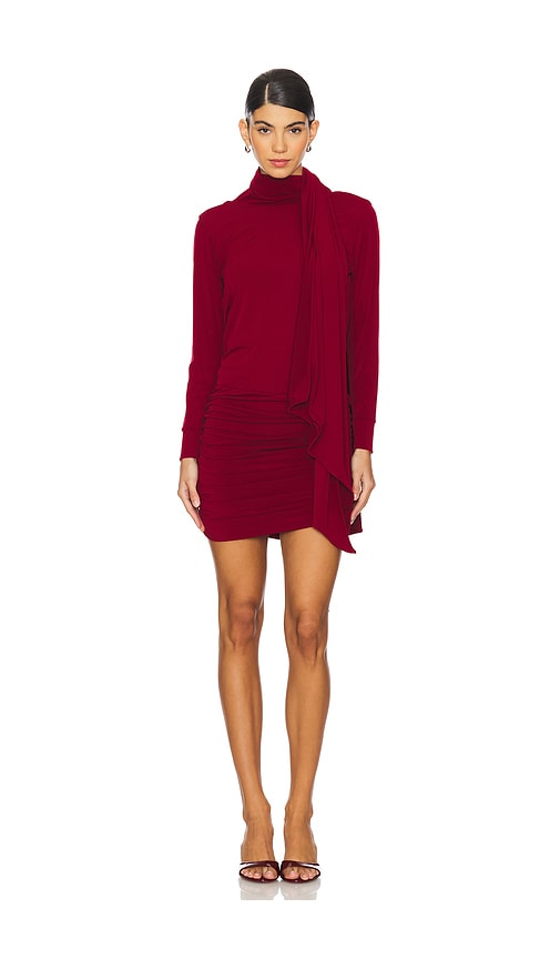 Shop Leslie Amon Gstaad Mini Dress In Burgundy