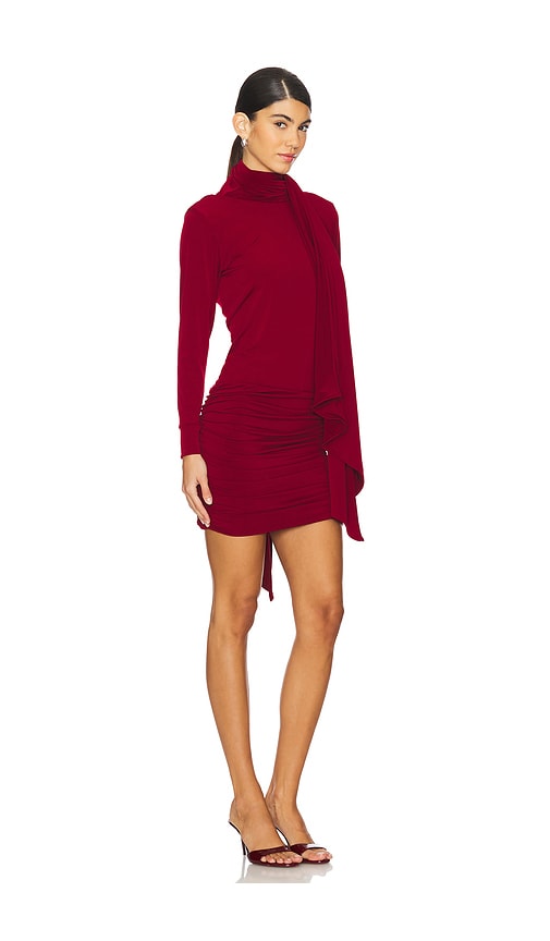 Shop Leslie Amon Gstaad Mini Dress In Burgundy