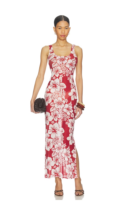 Leslie Amon Roselle Mesh Dress