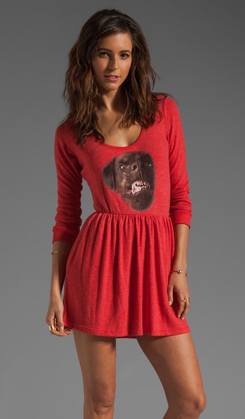 Rottweiler Dress