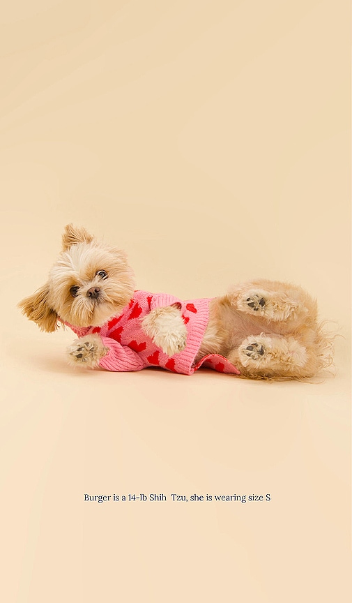 Shop Little Beast The Love Sweater In Pink