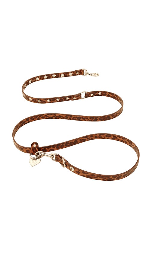 Little Beast Cougar Flower Power Leash