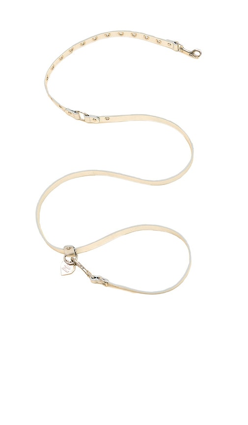 Little Beast You Mean The World To Me Leash